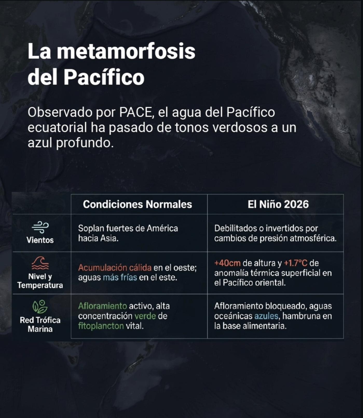 Lo normal, y El Niño de 2026. Vientos, altura, temperatura y la comida del mar.